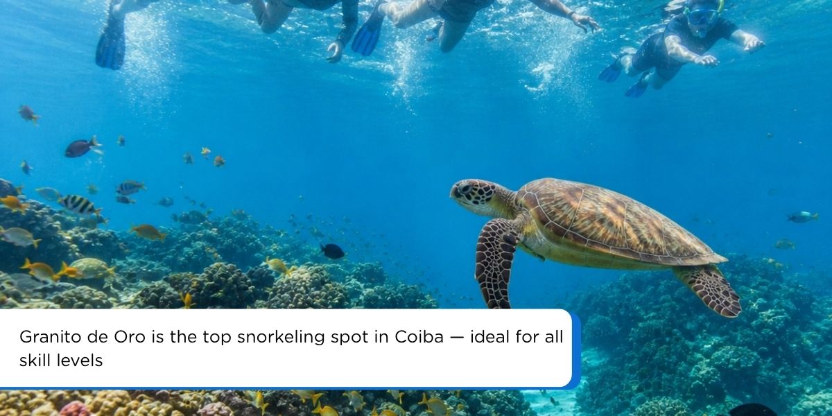 Snorkeling at Granito de Oro Coiba National Park coral reef