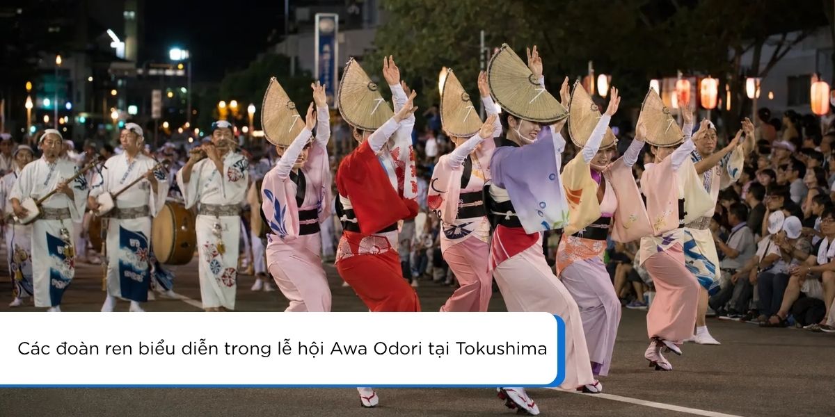 Đoàn ren biểu diễn Awa Odori trên phố Tokushima về đêm trong lễ hội 