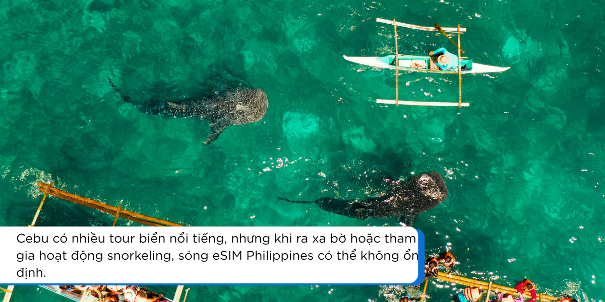 Du khách đi island hopping ở Cebu và dùng eSIM Philippines để kiểm tra tour, ferry và điểm hẹn trước khi ra biển.