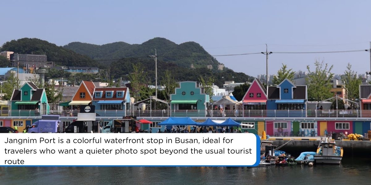 Wide view of Jangnim Port in Busan with colorful buildings, boats, and waterfront promenade