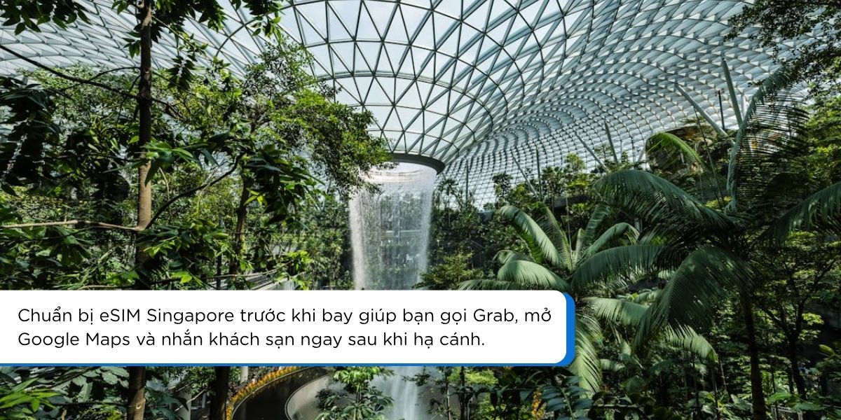 Thác nước Rain Vortex trong Jewel Changi Singapore