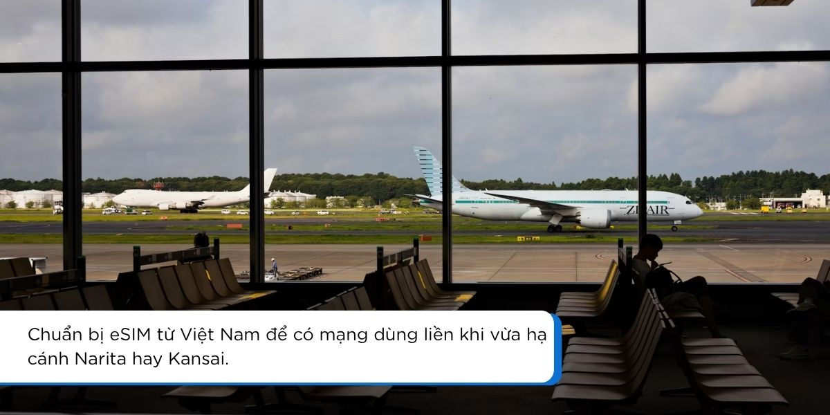 Du khách dùng điện thoại có kết nối mạng ngay khi tới nơi