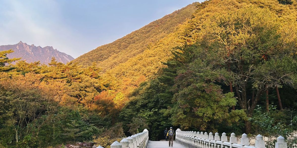 sokcho seoraksan national park