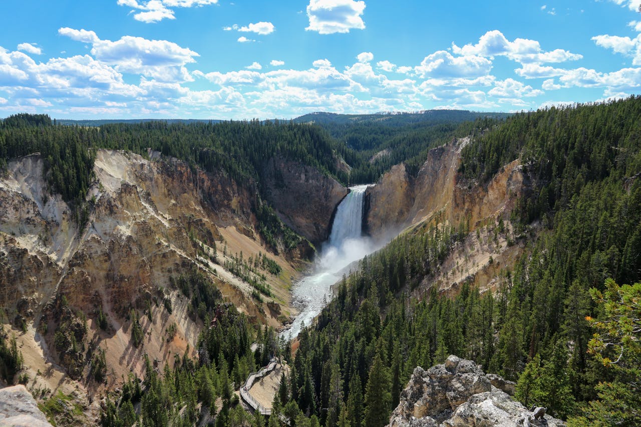 Lower Falls in the Grand Canyon of the Yellowstone surrounded by pine forest and canyon walls