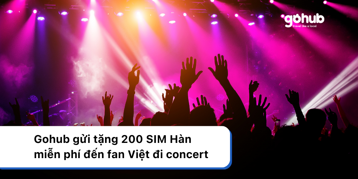 Gohub gửi tặng 200 SIM Hàn miễn phí đến fan Việt đi concert