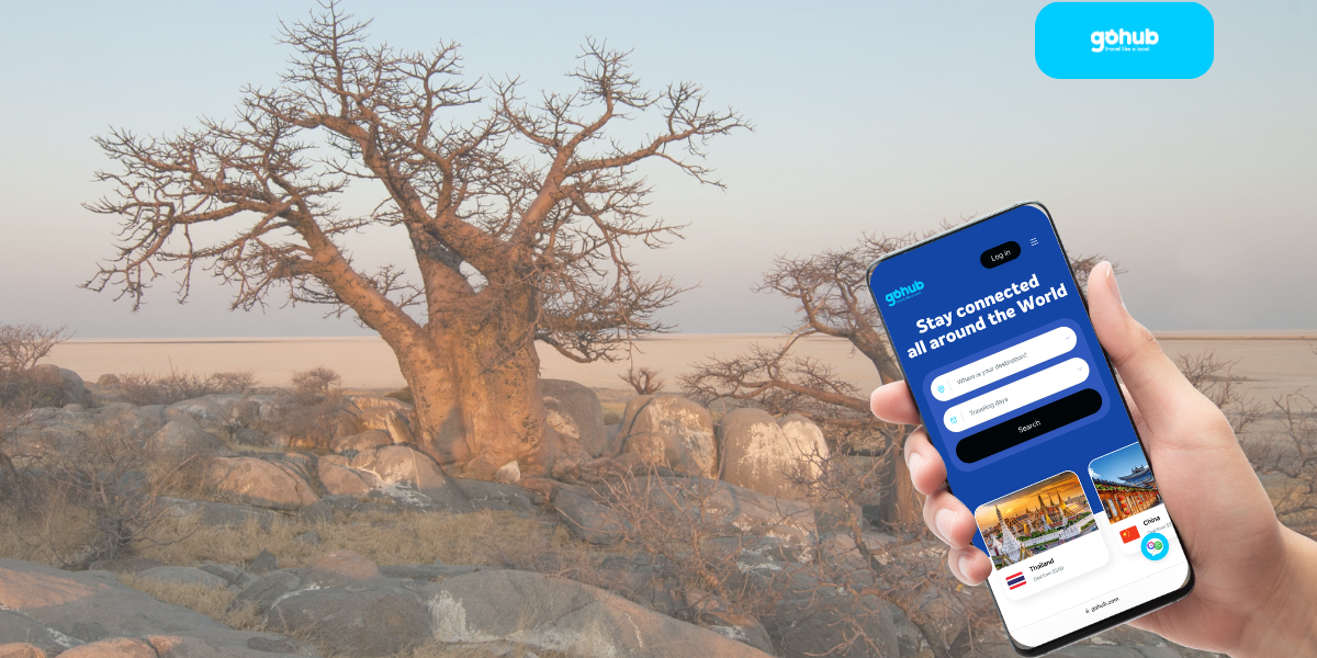 Hand holding a smartphone showing a travel connectivity app, with baobab trees and remote Botswana landscape in the background.
