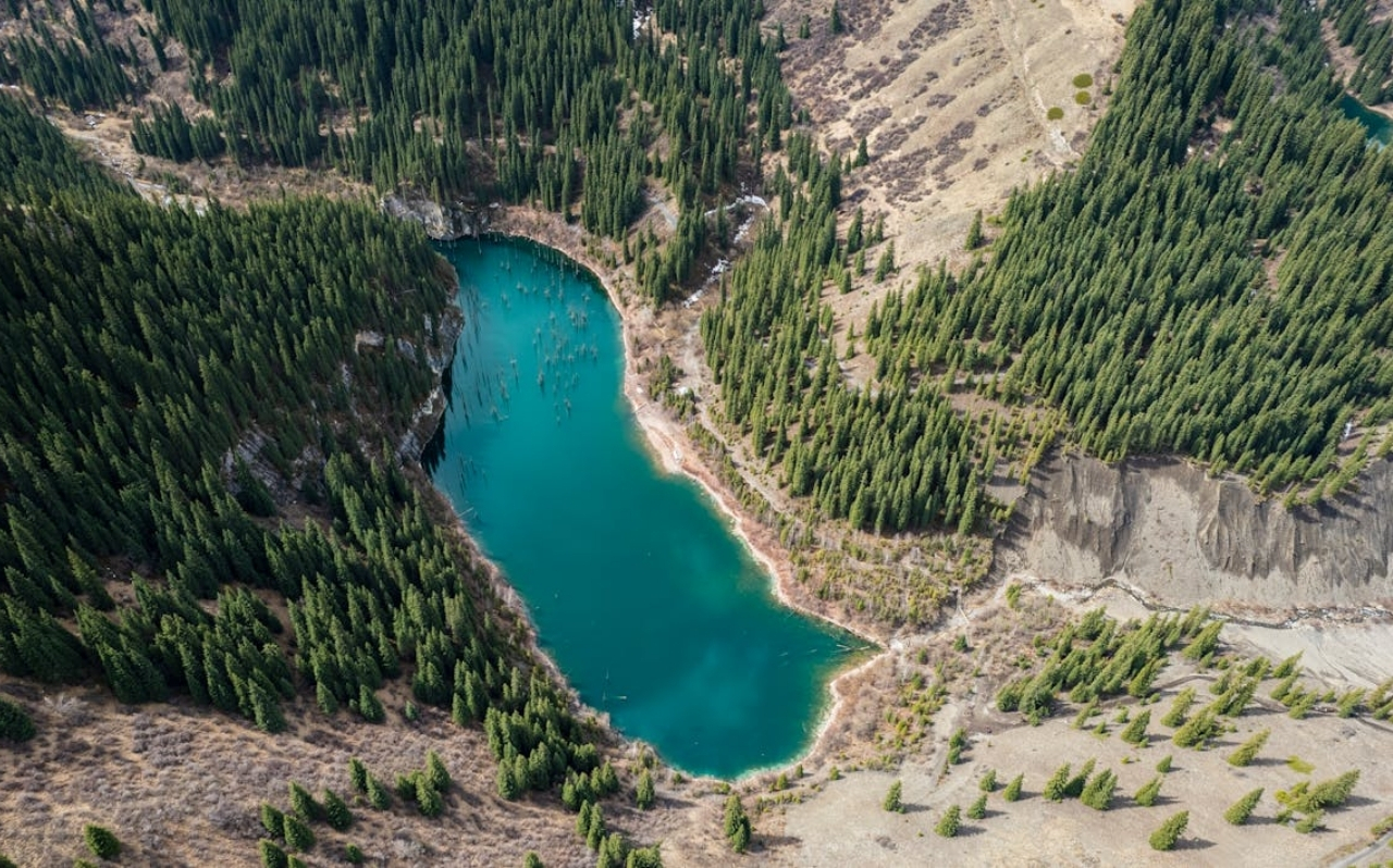 Kaindy Lake near Almaty with forest lake scenery and distinctive submerged trees