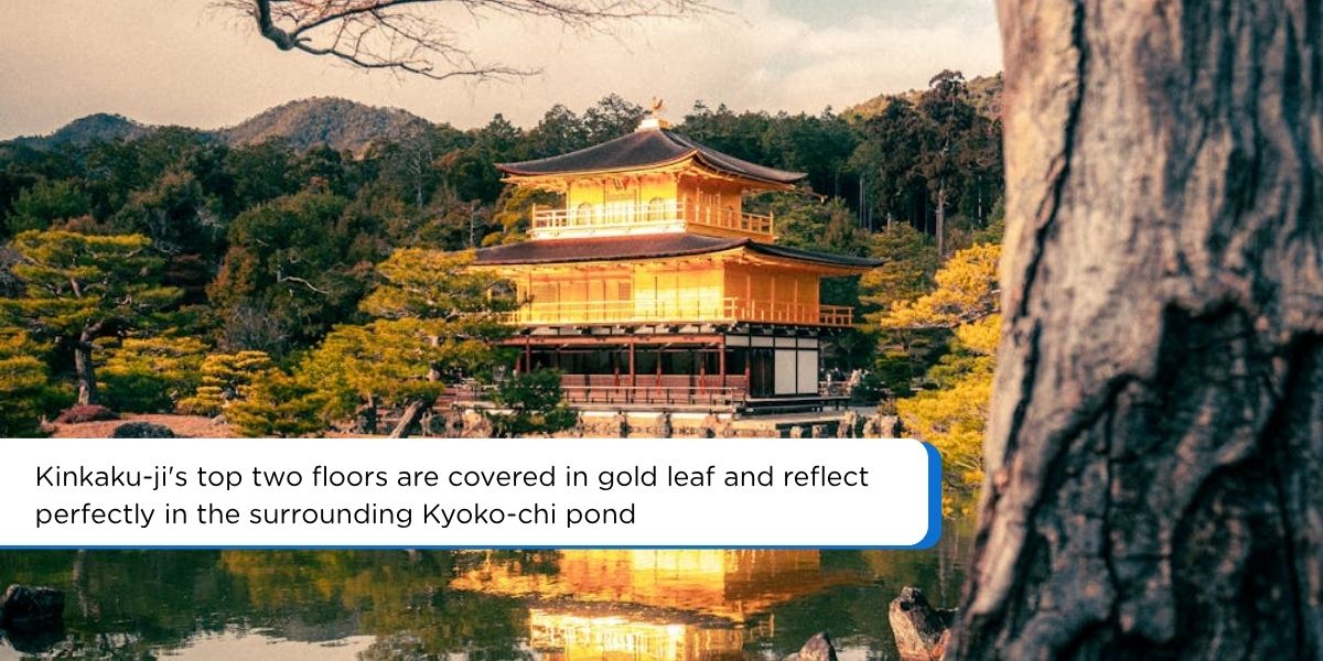 kinkakuji golden pavilion kyoto pond reflection morning japan