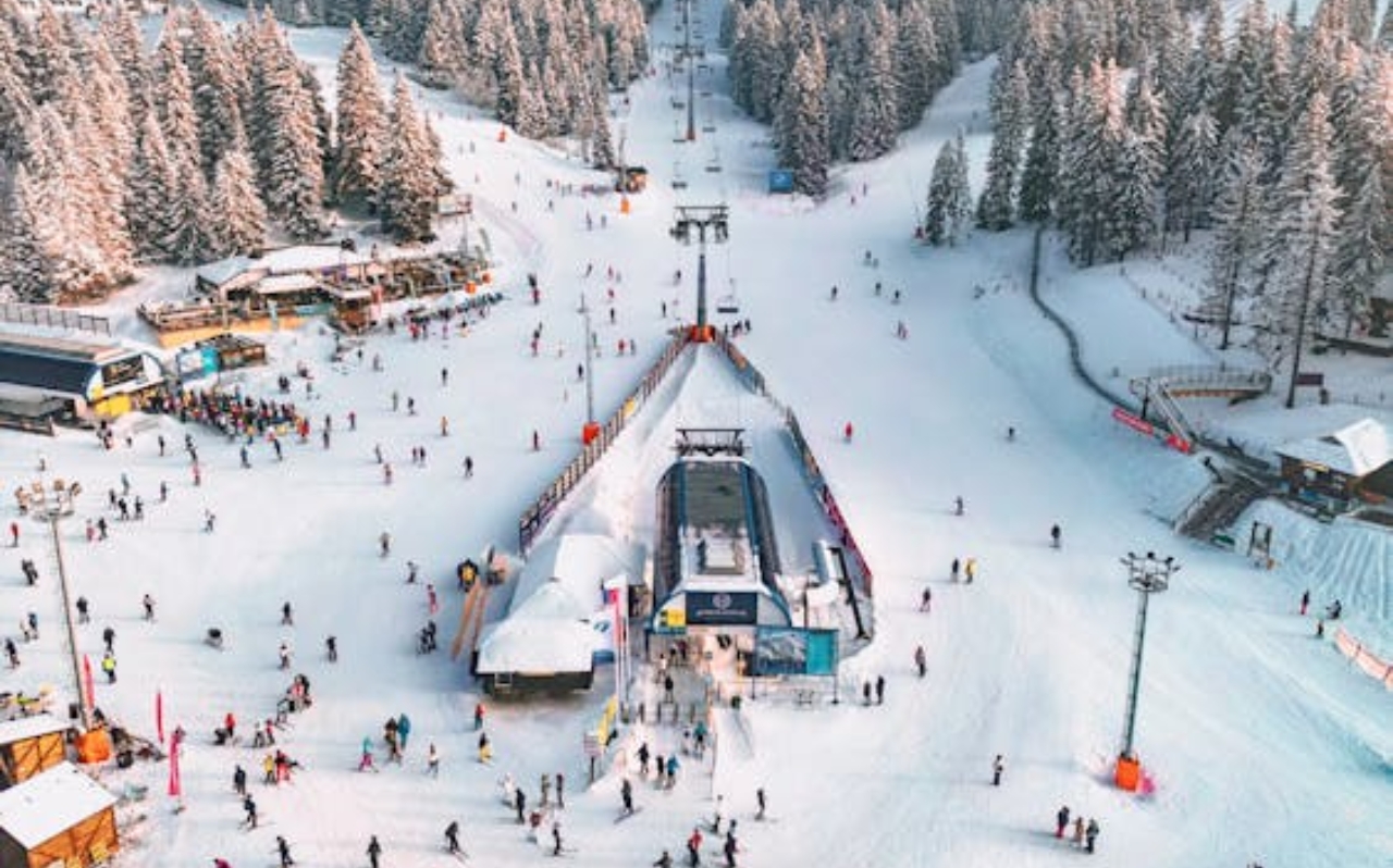 Snow-covered slopes and pine forests in Kopaonik National Park during winter