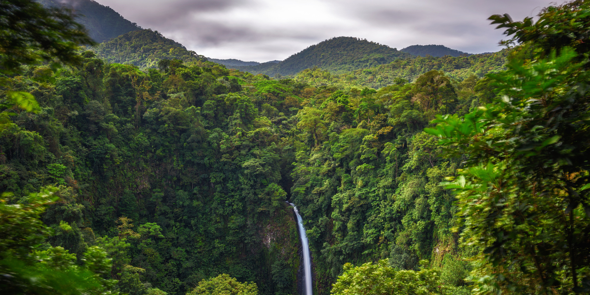 Aerial view of La Fortuna Waterfall cascading through dense jungle in Costa Rica