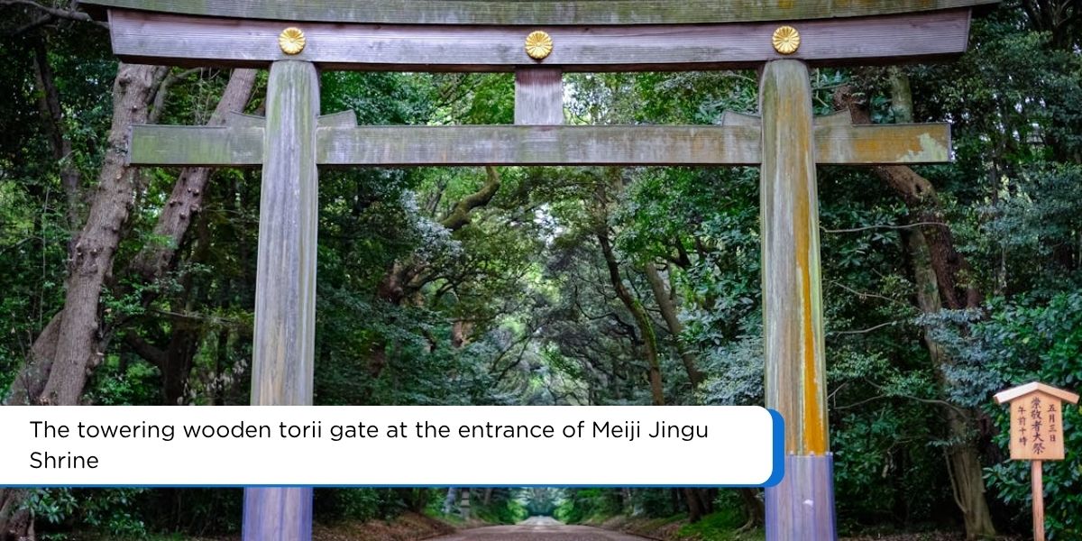 meiji jingu shrine torii gate forest path tokyo