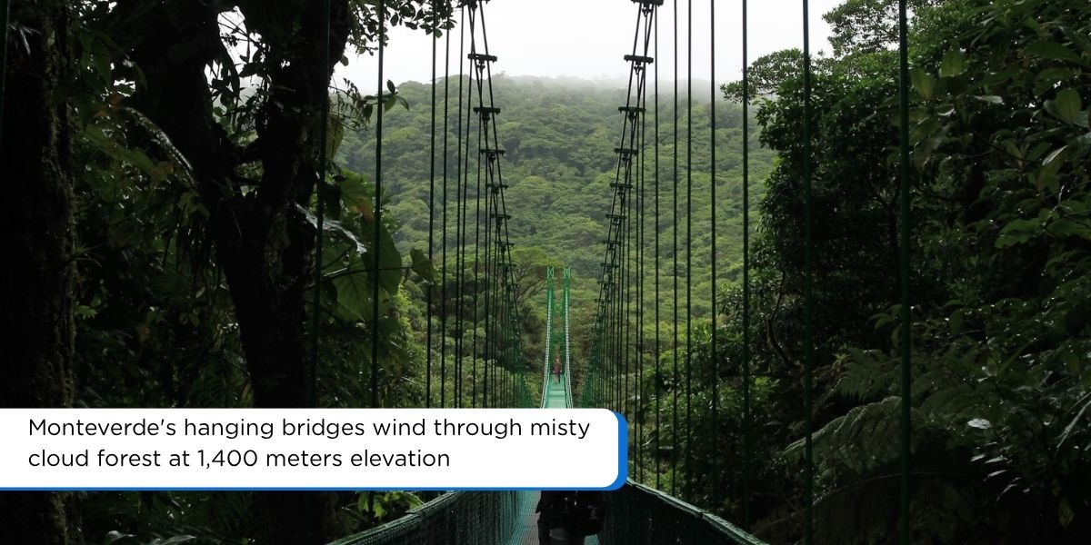 Suspension bridge in Monteverde Cloud Forest Costa Rica covered in mist