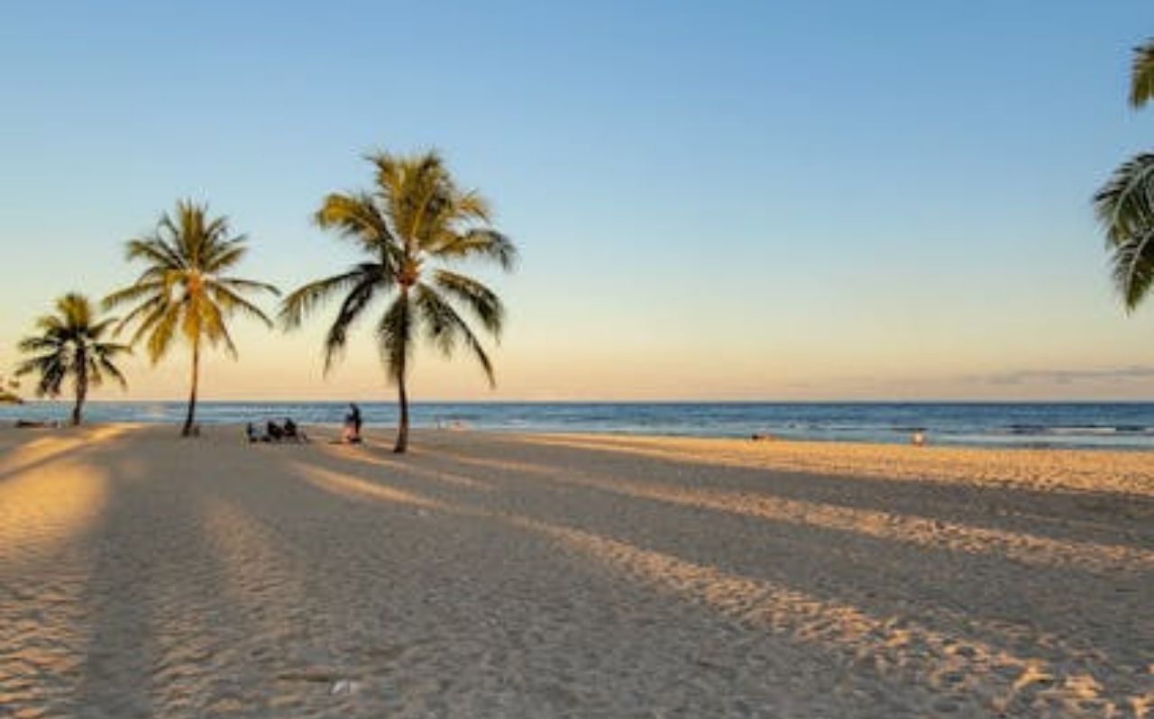 Playa Dorada beach with palm trees and calm Caribbean water in Puerto Plata