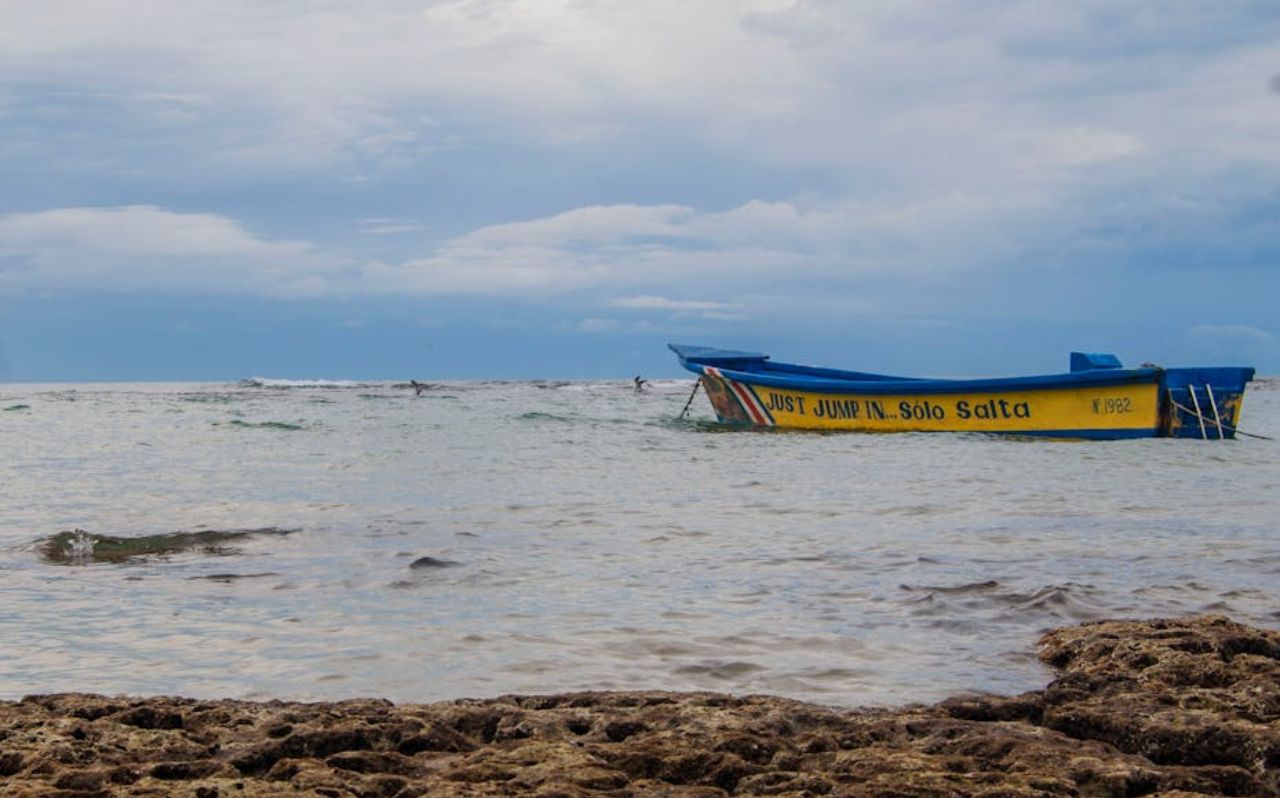 Puerto Viejo beaches in Costa Rica with palm trees and Caribbean shoreline