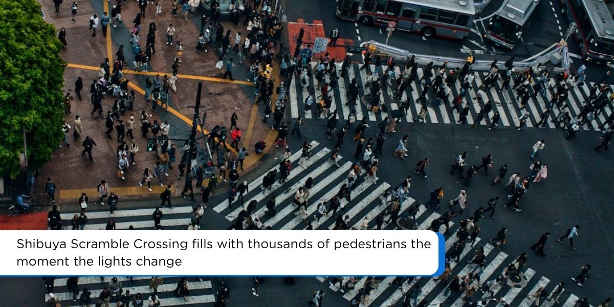 tokyo shibuya scramble crossing pedestrians at night japan