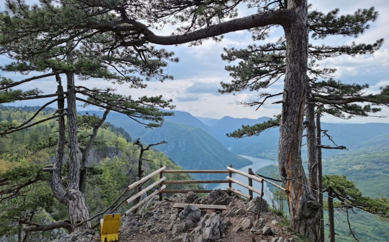 Banjska Stena viewpoint in Tara National Park western Serbia