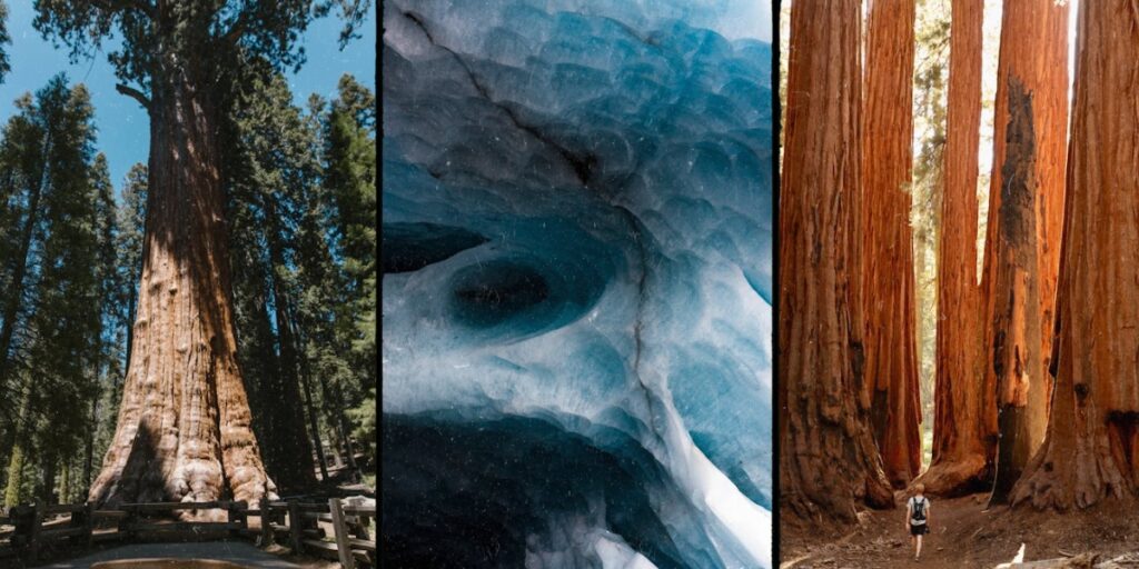 Sequoia National Park - công viên Sequoia vương quốc cổ thụ