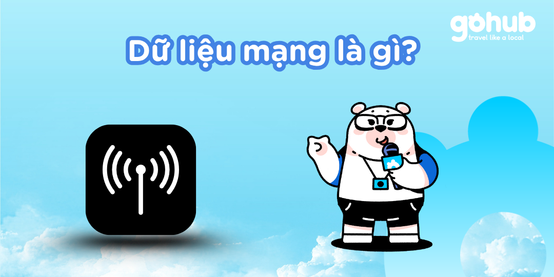 Dữ liệu mạng là gì