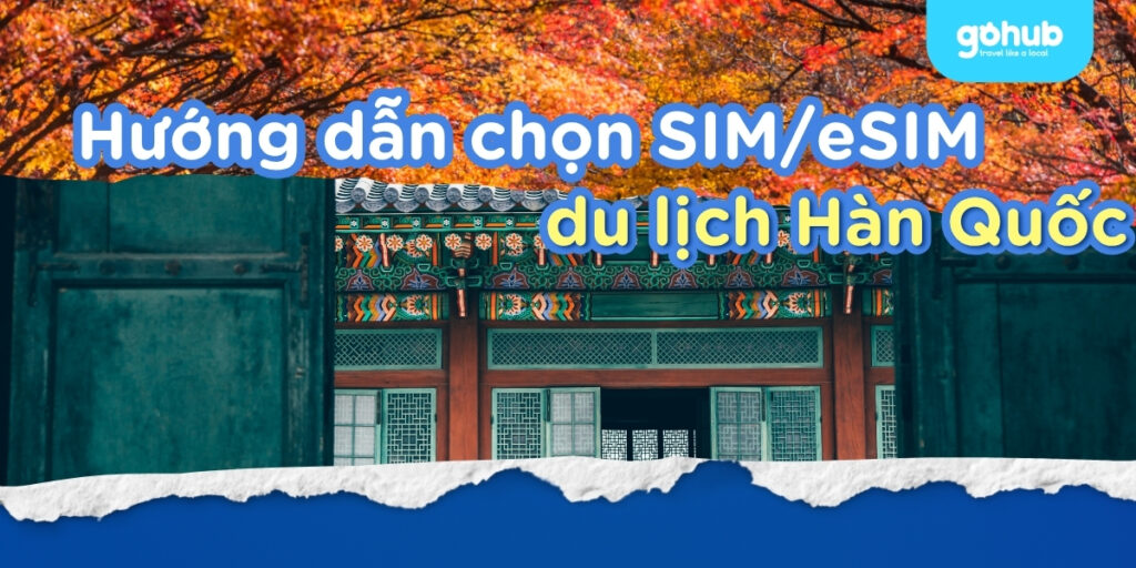Sim/eSIM Du Lịch Hàn Quốc: Hướng Dẫn Chọn Loại Tốt Nhất