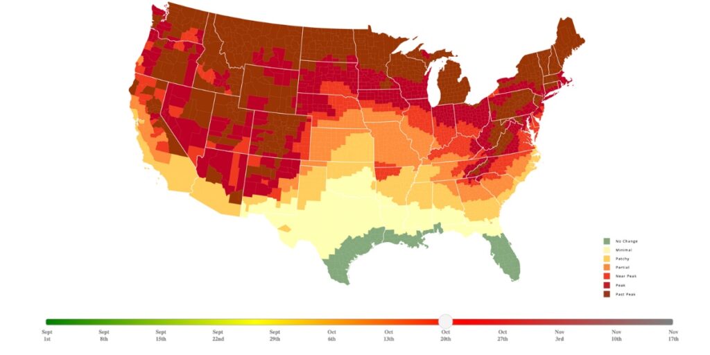 Bản đồ dự báo lá đỏ theo khu vực