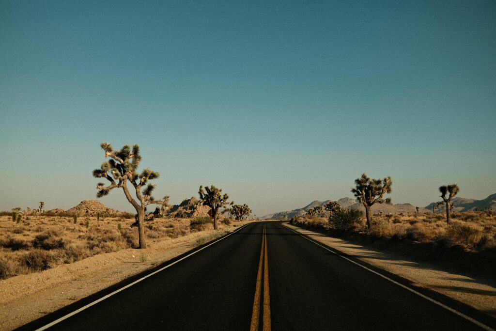 Joshua Tree National Park