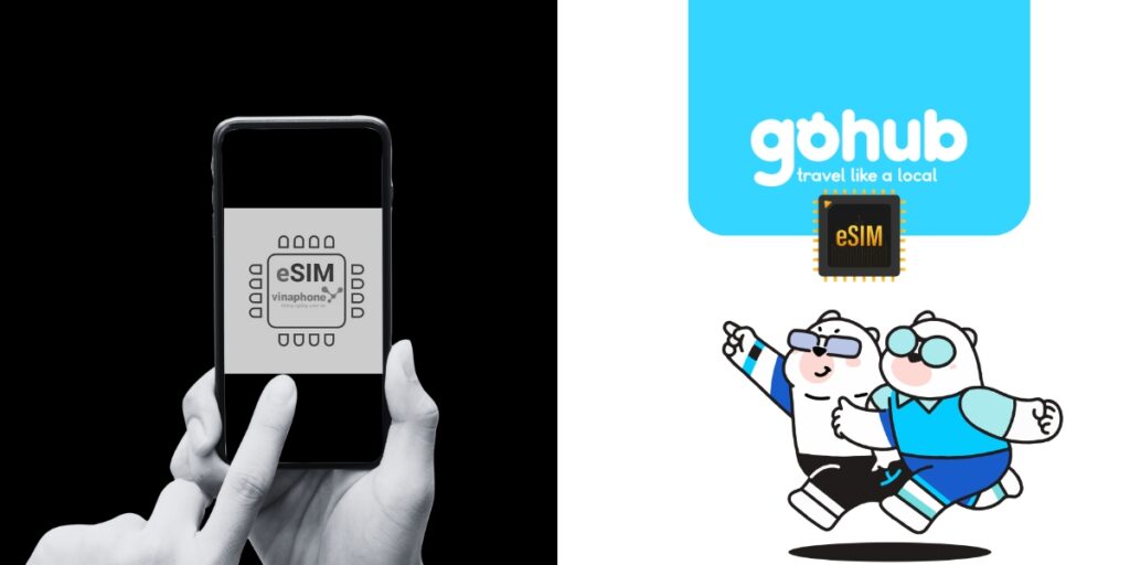 so sánh eSIM Vinaphone và eSIM du lịch nước ngoài của Gohub