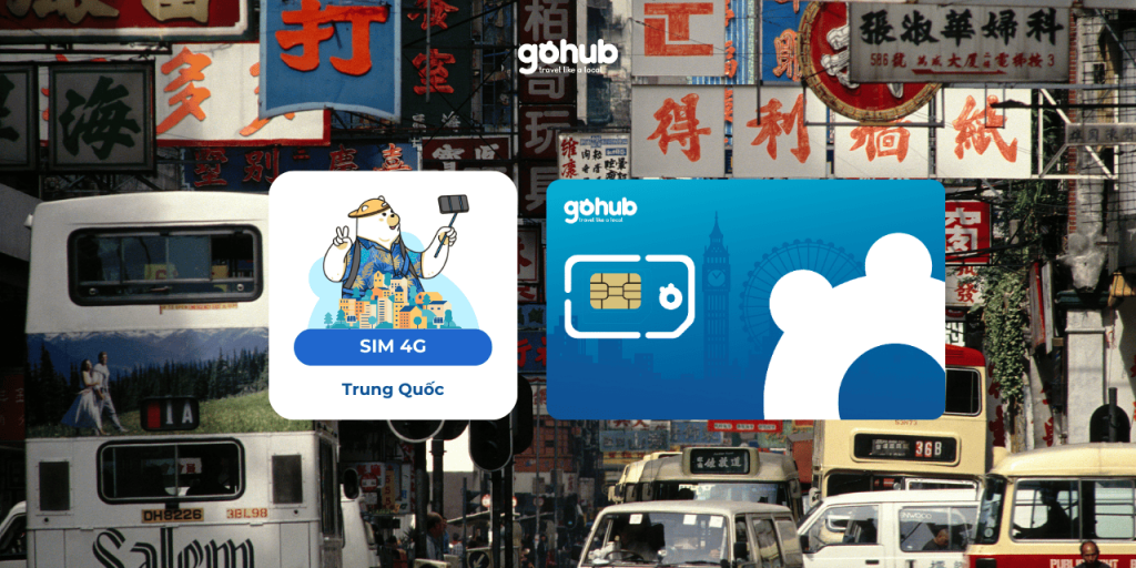 Gohub.vn và các gói sim Trung Quốc đang bán