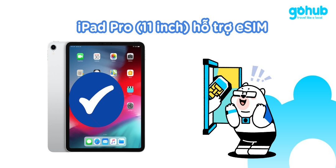 iPad Pro (11 inch) hỗ trợ eSIM