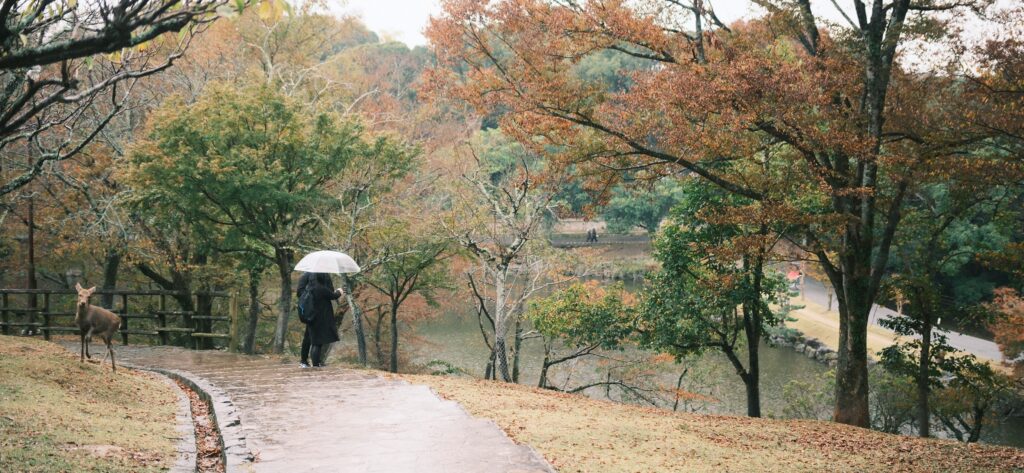 Nara Park công viên mùa thu đẹp nhất Nhật Bản